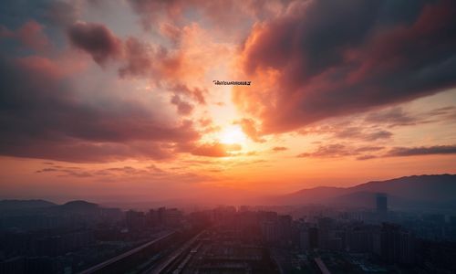 飞信的崛起和衰落