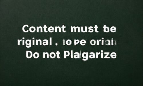 2. 内容要原创， 不要抄袭