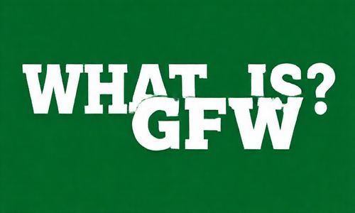 什么是GFW？