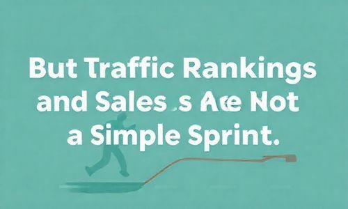 但是 流量排名和销量不是简单的直线跑跑跑