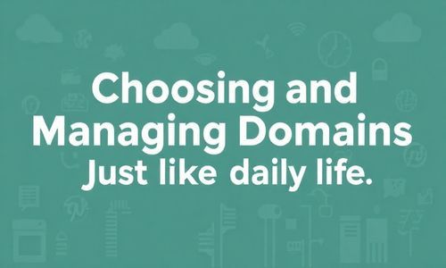 域名的选择和管理, 就像我们的日常