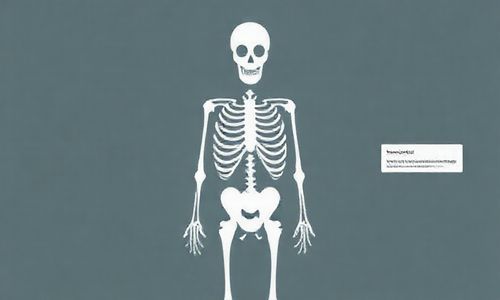 内容结构——网站的骨架