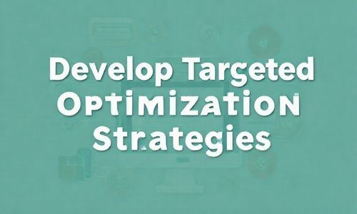 制定针对性的优化策略