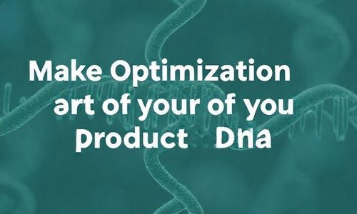 :让优化成为你的产品基因