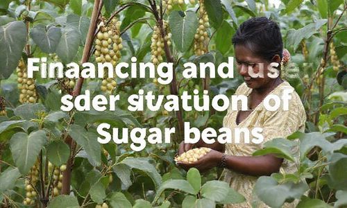 糖豆的融资与用户情况