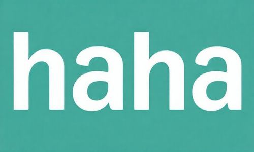 哈哈, 设置里找字体大