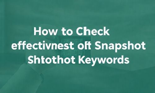怎么检查快照关键词的效果呢？