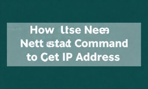 怎么用netstat命令获取IP地址呢？
