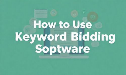 关键词出价软件怎么用？