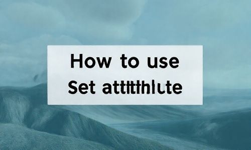 怎么用setAttribute？