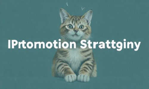 网络推广策略：喵喵， 行动起来