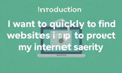 :我要快快找到网站IP,保护我的网网平安!