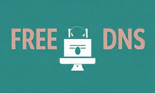免费DNS服务平安吗?