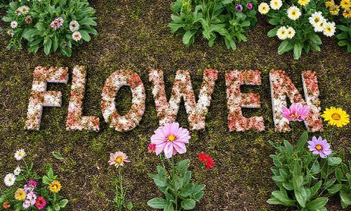 关键词布局， 就像是在花园里种花