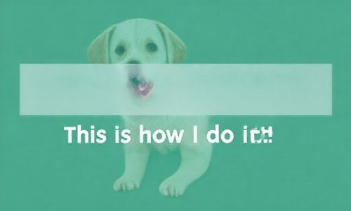 学习DIG命令，我这样Zuo