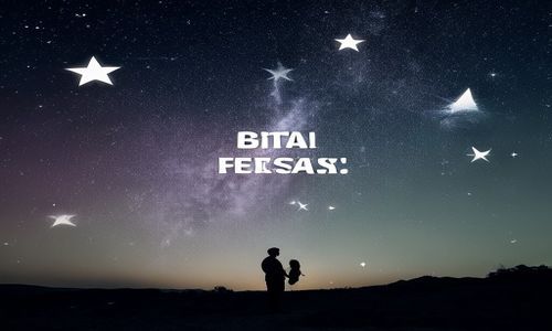 先说说我们来认识一下网站的大明星们