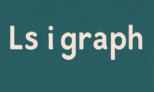 LSIGraph：关键词的小帮手