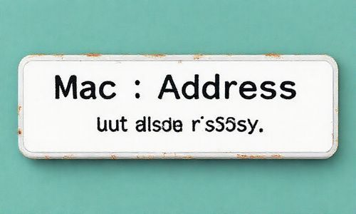 MAC地址：简单易行， 但也有风险