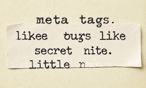 Meta标签， 像是我们的秘密小纸条