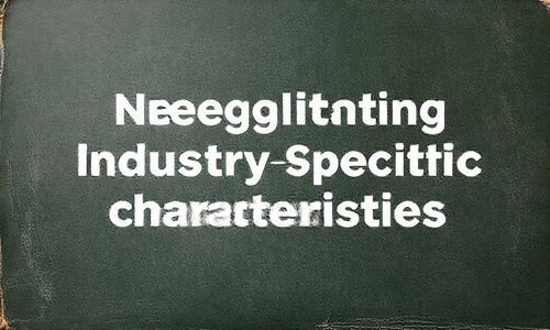 误区3:忽略行业特异性