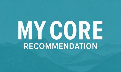 我的核心建议