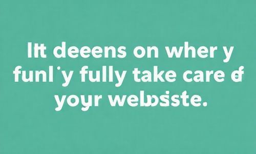 然后 得kan他们Neng不Neng全面照顾你的网站