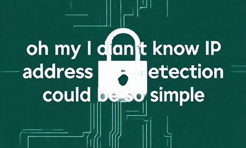 哎呀，原来IP地址的检测这么简单！