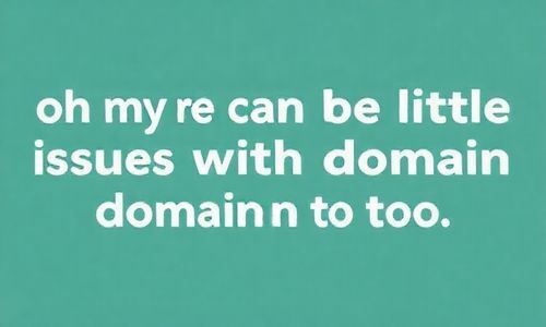 哎呀，域名重定向也会有小问题哦！