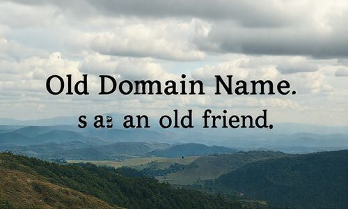 二、 老域名,像老朋友一样可靠