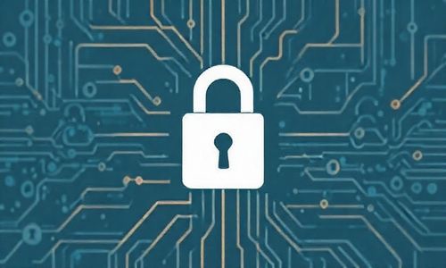 第一部分：保护隐私的大招