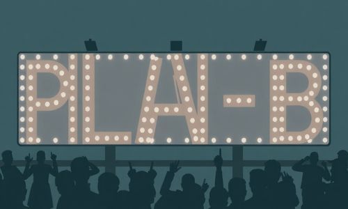 方案B:粉丝分层管理