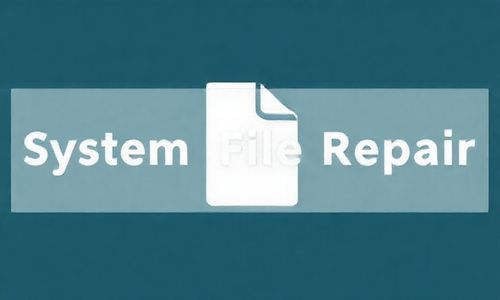 第二阶段：系统文件修复