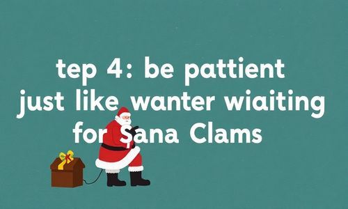 第四步:耐心等待, 就像等圣诞老人
