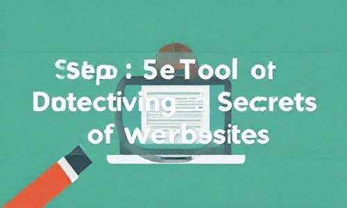 第五步：工具大侦探，监控网站的秘密！