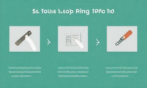 使用Ping工具的步骤: