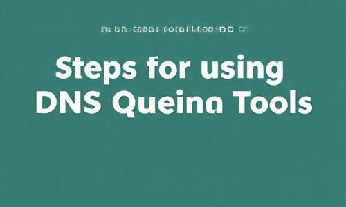 使用DNS查询工具的步骤: