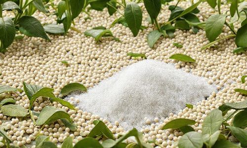 糖豆广场舞产品运营分析