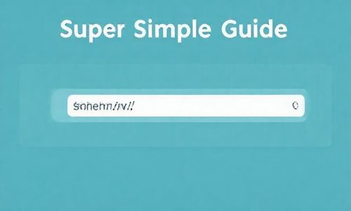 超简单攻略:输入网址,网页就出来啦!