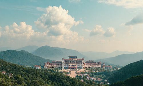 wang域名， 就像是我们的好朋友