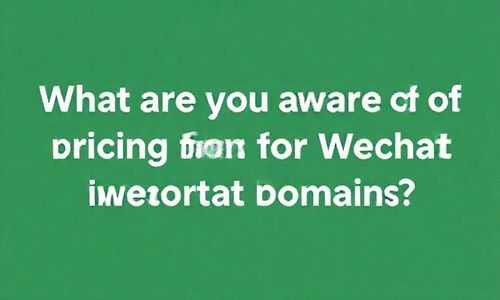 四、微信不死域名的收费标准，你知道吗？