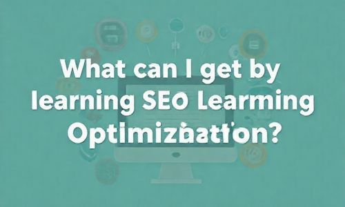 学习SEO优化，我Neng得到什么？