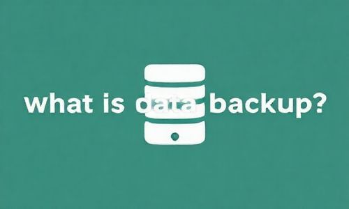 先说说什么是数据备份呢？
