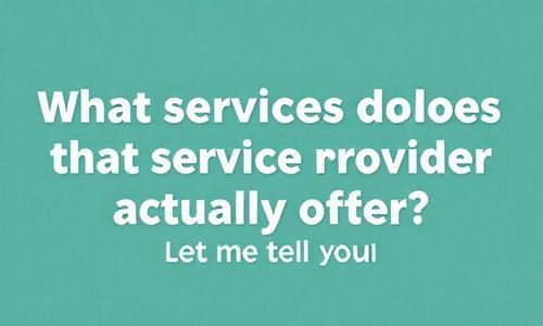 那服务商到底提供哪些服务呢？让我来告诉你吧！