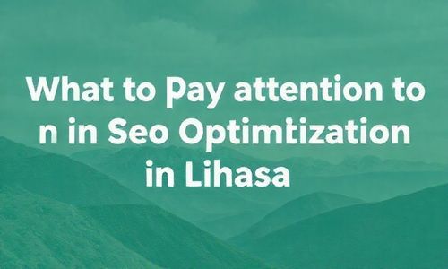拉萨的SEO优化要注意啥?