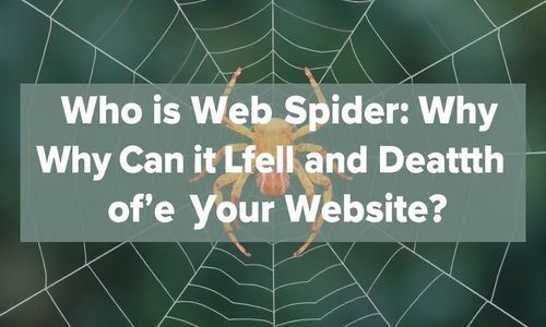 网络蜘蛛是谁?它为啥Neng决定你的网站生死?
